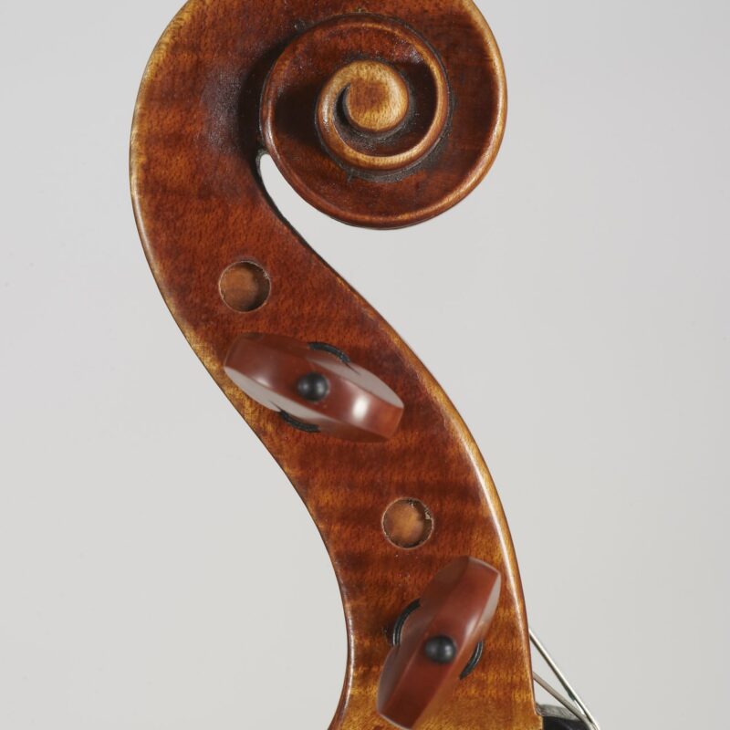 zeus-violino-4