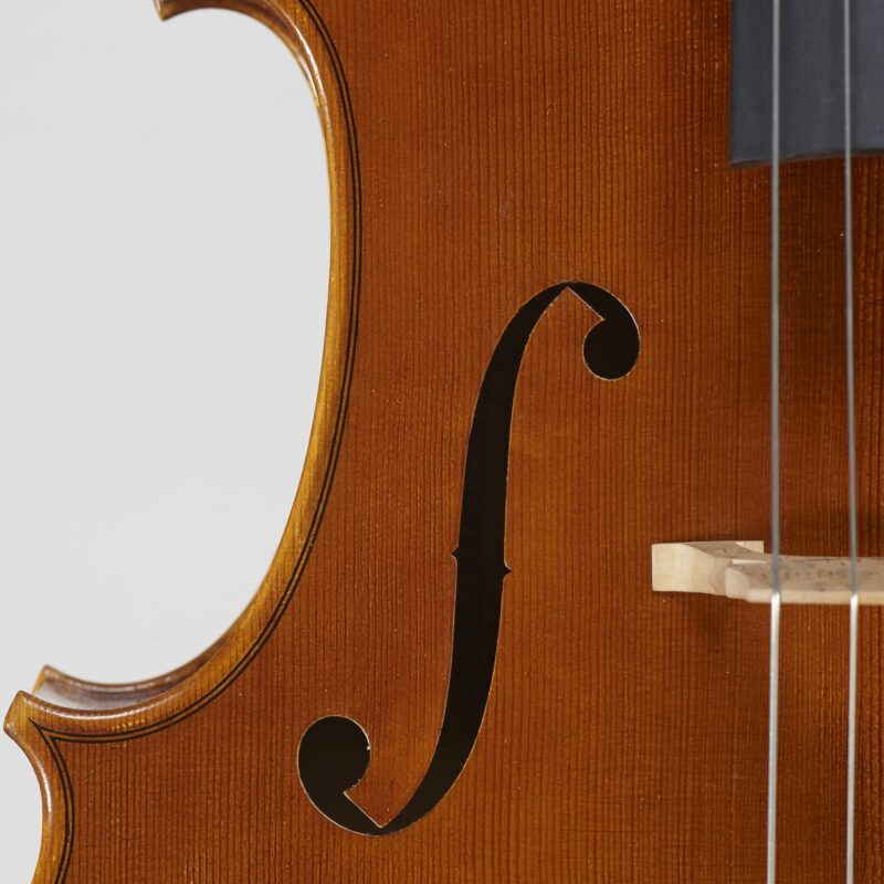 cello-muse-clio-4